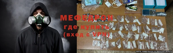 сатива Ельня