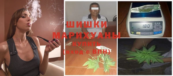 гидропоника Медногорск