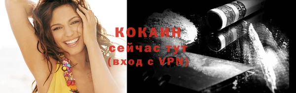 a pvp Пересвет