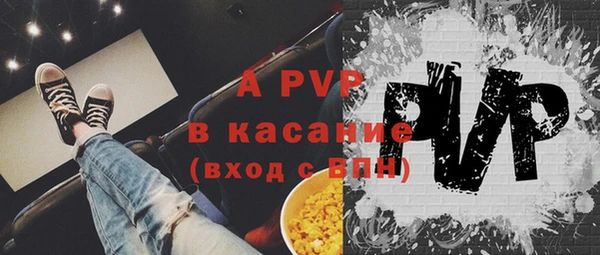 a pvp Пересвет