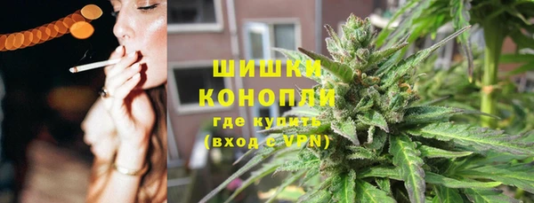 a pvp Пересвет