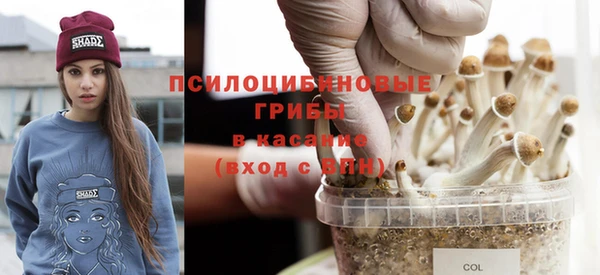 a pvp Пересвет