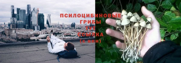 стаф Переславль-Залесский