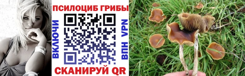 Псилоцибиновые грибы мухоморы  Ростов 